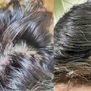 참빛의원 이미지