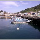 신항민박