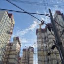 비타민부동산공인중개사사무소 이미지