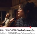 호텔버닝(HOTEL BURNING) | WILDFLOWER 빌리아일리시 와일드플라워 가사 한글 발음 해석