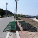 불이채민박 이미지