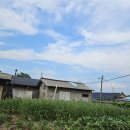 큰엄마밥상 이미지