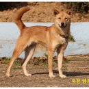 화수초등학교 이미지