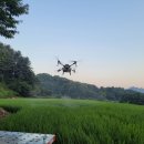 가평쌀연구회영농조합법인 이미지