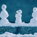 (덕계)(우리 아이를 위한) 문해력을 키우는 독서 -비대면(ZOOM) | [인문학 강의] 그림책으로 놀자!의 주제로 초등대상 그림책 인문학 방학특강