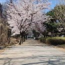 정발산파크골프장 이미지