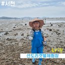 노다지파전 | 아이와 함께 서천1박2일 여행(3)_선도리갯벌체험장