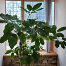 사계절한의원 이미지