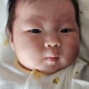 대한모유수유이사회 모유수유 심층상담 솔직 후기