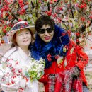 푸른상회 Daum카페