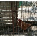 황산복집 이미지