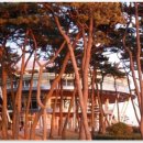 황제 행정사사무소 이미지