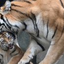 나라와우리 이미지