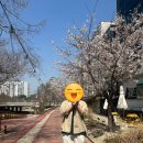 만정컨설팅 | 30대,직장인 남성 2개월만에 25kg뺐습니다!(구리다이어트)
