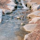 달보드레하다 이미지