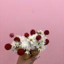🫶 웨딩촬영 분위기 살리는 한 끗｜마리에 플라워디렉팅 후기