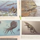 보스톤헤어샵 | 흐름출판 과학철학서 &lt;대멸종 연대기&gt; 5번의 대멸종 이후 인류세에 대처하는 자세