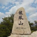 광천정기시장 Daum카페