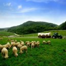 한양목장 이미지