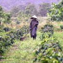 부동농장2 이미지