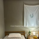 협재게스트하우스 | 제주도 게스트하우스 협재정류장 내돈내산 후기