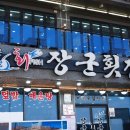 일월회집 | 속초 일월 횟집 보다 찾은 장군횟집 속초 쏘라노 횟집