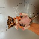 한길동물병원 이미지