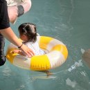 구공스테이도고키즈 | 천안 근교 키즈풀빌라 펜션 구공스테이 도고 키즈 놀이방 수영장 최대 12인