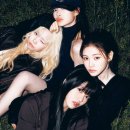 민 카카오 검색결과