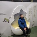 경주 아이와 함께 버드파크 체험 / 아쉬운 솔직후기