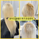 04-1 헤어미용 자격과정Ⅱ | 꼭 알아야할 증모술 단점부터 장점 10가지 꿀팁!!