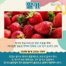 헬스 맛 짐 이미지