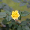 한양목장 이미지