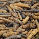 진심한방병원 이미지