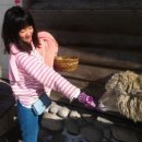 낙원목장 이미지