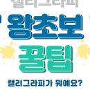 더아이든 이미지