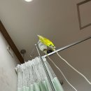 사랑해차의원 이미지