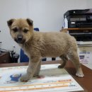 염색공단천로 피플워치