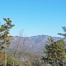 수원팔색길 모수길 이미지