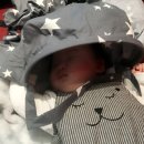 크라비앙코 이미지