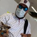 데려가개 이미지