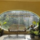 이티농장 이미지