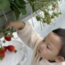 세용농장 이미지