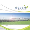 하일농장 이미지