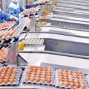 매일2농장 이미지