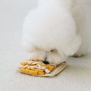 아이노즈솔루션