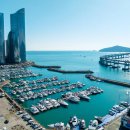 요트경기장 앞 이미지