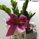 다리아네일아트