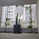 팔팔안마원 이미지