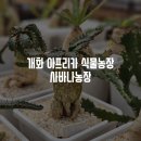 대형농장2호 이미지